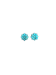 Faux Turquoise Earrings
