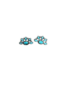 Faux Turquoise Earrings