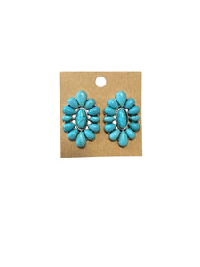 Faux Turquoise Earrings
