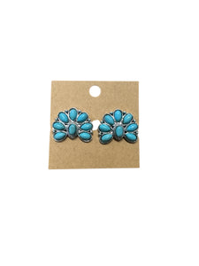 Faux Turquoise Earrings