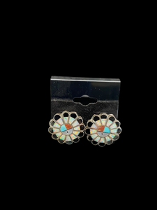 Sterling & Multi Stone Earrings