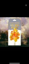 Load image into Gallery viewer, Crystal Growing Golden Aspen
