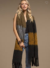 Load image into Gallery viewer, Plush Wide Stripe Scarf
